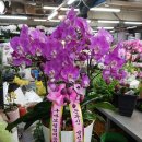 구마보링정비 이미지