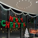 이웃집 멍 이미지