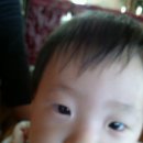 꽁뚜식당 이미지