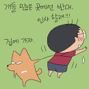 강아지마을2012 이미지