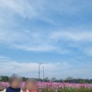 코스모스 어린이집 이미지