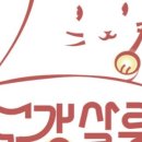 고양이무마취미용 묘갱살롱 이미지