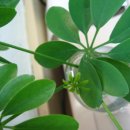 뿌리 당구장 이미지