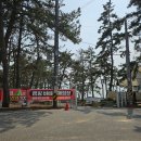 무안 홀통183캠핑장 첫 차박 후기