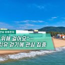 숲어울림치유연구소