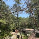 초록공원 이미지