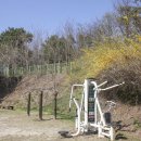 고덕체육공원 육상트랙 이미지