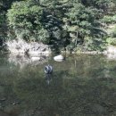 오케이빌리지 이미지