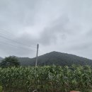 지장산 펜션 민박 이미지