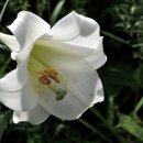 모현동물병원 이미지