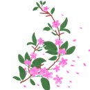 소망꽃화원 이미지