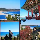산포낚시슈퍼 | 울진 망양정 경북 울진 가볼만한곳 겨울 바다 추천