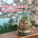 부산 테라리움 클래스 쏘슬로우플랜트랩 남포동 공방 부산가드닝클래스 후기