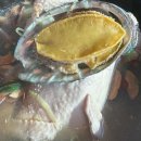 대한홍삼 건강백화점 대전본점 이미지