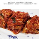 비타민김치 Daum카페
