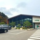 🏞감성 가득한 홍천 카페, 도팅 방문 후기 🌿
