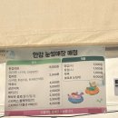 찬들공원 | 잠원 한강공원 눈썰매장 뽀로로파크 in 한강 후기(가격,먹거리,위치)