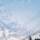 삼순이네보리밥