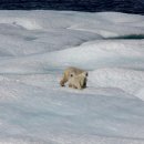 창비환경 이미지