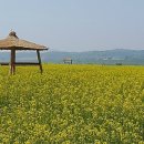 신조농장 이미지