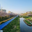 (주)시즌글라스 이미지