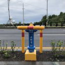 제주중앙초등학교 이미지