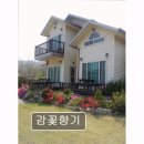 감꽃펜션 | [양양 애견동반 펜션 ] 감꽃향기 바비큐와 물놀이가 함께하는 휴식처