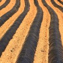 농지목장 이미지