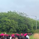 나이끼 | 2025 나이키 우먼스 런 후기 ft.오르막길의 향연(NikeAfterDarkTour10K)