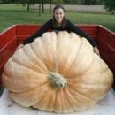 호박스포츠 이미지