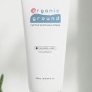 캐터스 이미지
