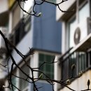 금호동 장미아파트 이미지