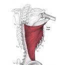 고짐(GO GYM) 다사 대실역점 이미지