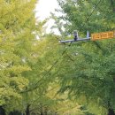 의동마을 이미지