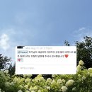 (주)인풋 | [영상번역] 필사 중독