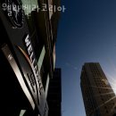 벨라코리아 이미지