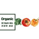 건강한세상