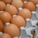 푸른초원농원 이미지