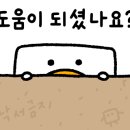 양지식당 이미지