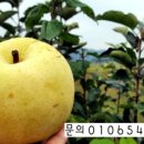 배감농장 네이버블로그