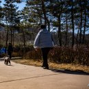 선유근린공원 이미지