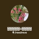 리브레브 이미지