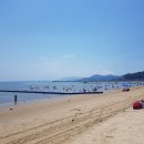 보성아라낙지
