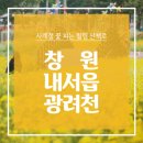 광려천 힐링산책로 이미지