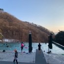 숙소리뷰ㅣ제천 포레스트 리솜 레스트리 S30타워 클린, 해브나인스파 평일에 다녀온 후기🌿