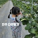 경남 딸기체험 다은딸기 아이랑 가기좋은 키즈카페 딸기농장