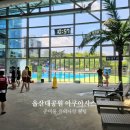 pet225다9716 | [울산 실내 수영장] 울산대공원 아쿠아시스 첫방문 후기