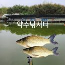 약수낚시터손맛터