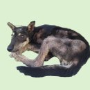 두량5리 이미지