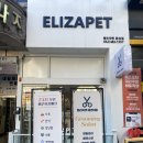 엘리자펫 이미지